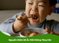 Nguyên Nhân Bé Ăn Mãi Không Tăng Cân và Giải Pháp Hiệu Quả Cho Mẹ