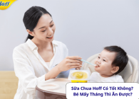 Sữa Chua Hoff Có Tốt Không? Bé Mấy Tháng Thì Ăn Được?