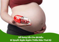 Bổ Sung Sắt Cho Bà Bầu: Bí Quyết Ngăn Ngừa Thiếu Máu Thai Kỳ