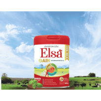 Sữa Bột Elsa Gain  