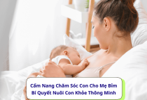 Cẩm Nang Chăm Sóc Con Cho Mẹ Bỉm- Bí Quyết Nuôi Con Khỏe Thông Minh