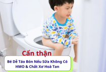 Cẩn Thận! Bé Dễ Táo Bón Nếu Sữa Không Có HMO & Chất Xơ Hoà Tan