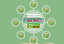 Tất tần tật những điều cần biết về nhượng quyền thương hiệu DHAMAX