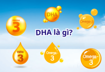 DHA là gì? Khi nào cho bé uống DHA?