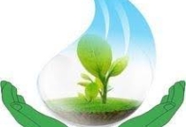 DHAMAX-THƯƠNG HIỆU SỮA DÀNH CHO MẸ VÀ BÉ, ĐỒNG HÀNH CÙNG SỰ PHÁT TRIỂN TOÀN DIỆN