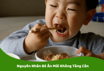 Nguyên Nhân Bé Ăn Mãi Không Tăng Cân và Giải Pháp Hiệu Quả Cho Mẹ