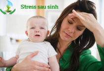 Stress có ảnh hưởng đến sữa mẹ không?