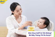 Sữa Chua Hoff Có Tốt Không? Bé Mấy Tháng Thì Ăn Được?