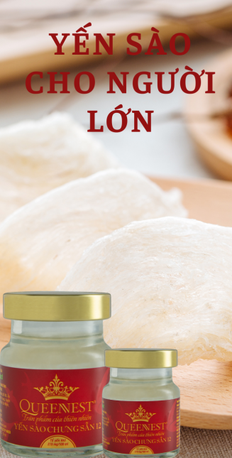 Yến Sào Cho Người Lớn