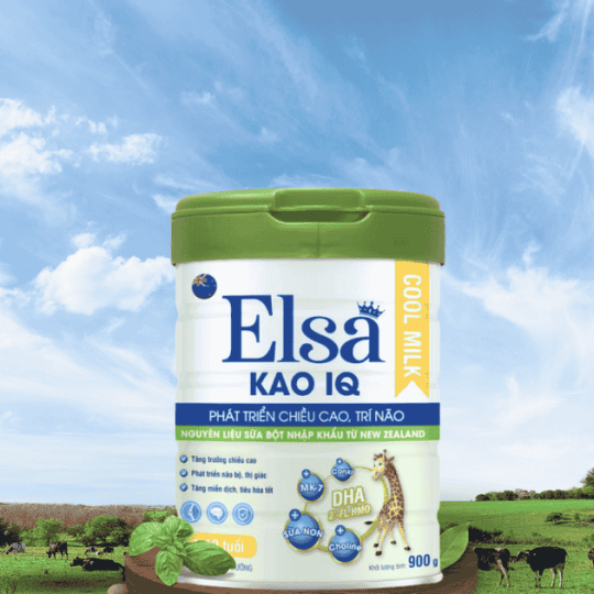 Sữa bột Elsa Kao IQ